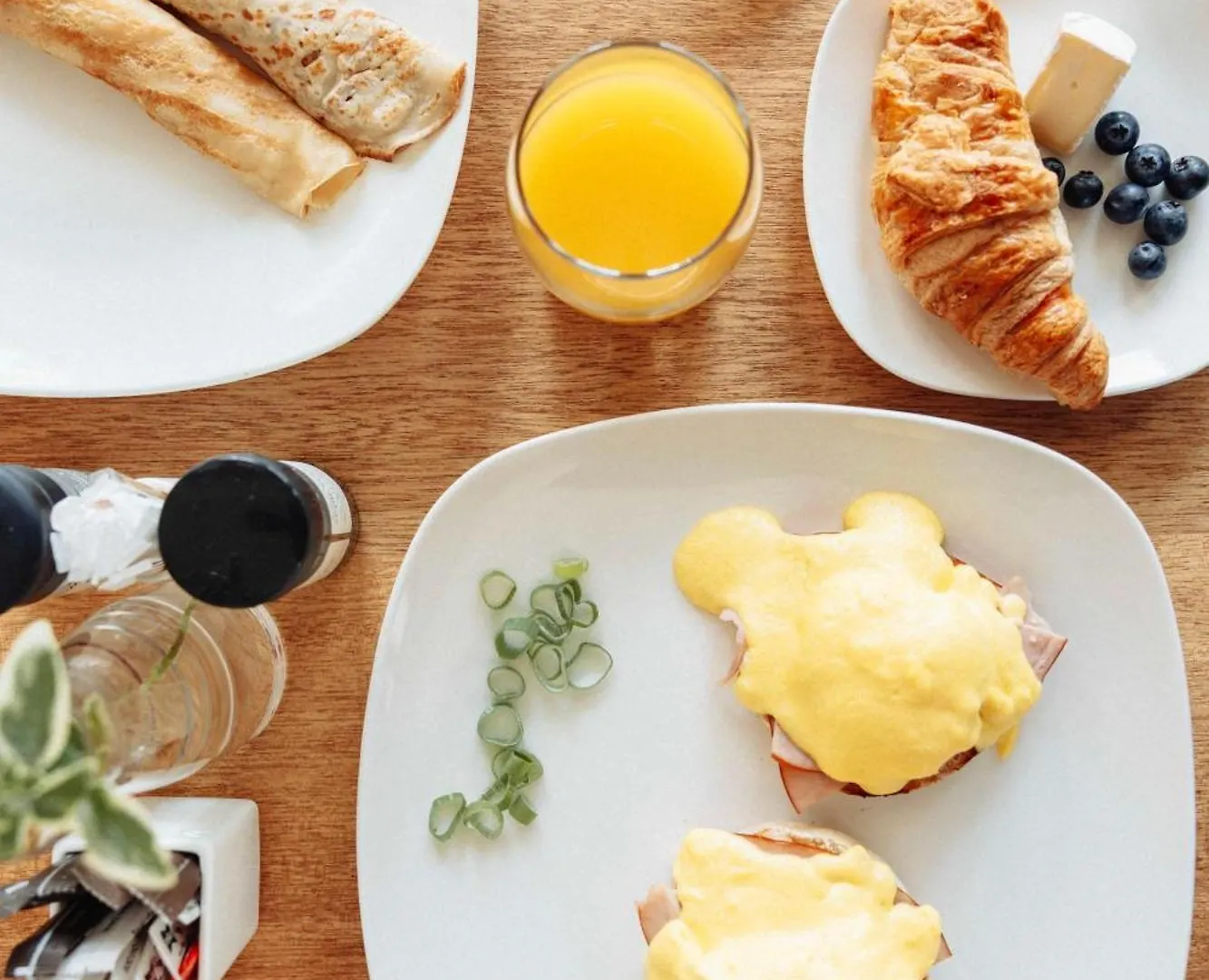 Nova Constantia Boutique Residence Cape Town Guest house